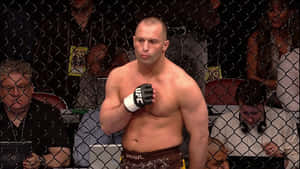 比賽期間，八角籠內戴著UFC手套的MMA拳手。
