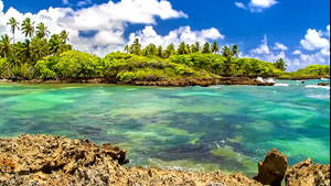 藍天下擁有碧綠海水和棕櫚樹的熱帶島嶼。 — 夏天 壁紙