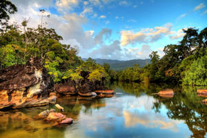 一條平靜的河流流過茂密的叢林，兩岸岩石嶙峋，藍天下山巒倒映。 — 樹 壁紙