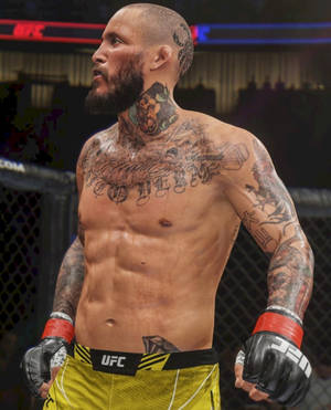 紋身UFC拳手，身穿黃色短褲和黑色手套，在八角籠內。