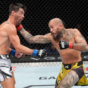 兩名男性MMA拳手在籠中打鬥，一人拳擊另一人。