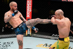 兩名男性MMA拳手在八角籠中，一名在UFC比賽中踢另一名。