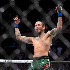 MMA拳手在八角籠中高舉雙臂慶祝勝利。 — 冠軍 壁紙