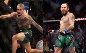 兩名MMA拳手在UFC賽事中於籠內慶祝。