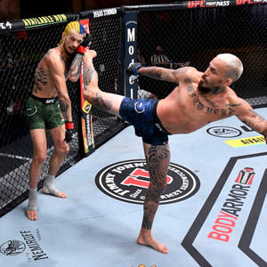 兩名男性MMA拳手在籠中，一人踢向另一人。