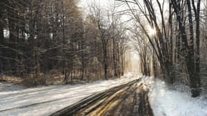 白雪覆蓋的森林小徑，陽光透過光禿的樹木灑落。 — 道路 壁紙