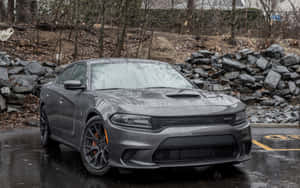 灰色 Dodge Charger 泊喺濕嘅停車場，近石牆同光禿禿嘅樹。