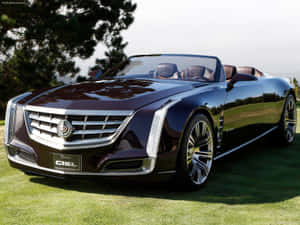 豪華栗色Cadillac Ciel敞篷車停在綠色草地上，後面有樹木。