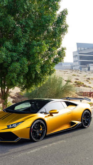 金色跑車在陽光明媚的日子停在樹旁。