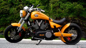 橙色Harley-Davidson電單車停泊在道路上，背景有綠色樹木。