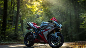 金色時刻，紅色和銀色Yamaha跑車停泊在森林小徑上。