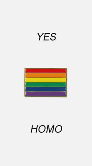 彩虹驕傲旗幟別針，上方為YES，下方為HOMO。