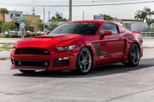 紅色福特野馬Shelby GT350R停在有棕櫚樹和建築物的街道上。