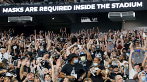 戴著口罩的粉絲在擠滿人的體育館中熱情歡呼。 — NFL 美式足球 GIF 壁紙