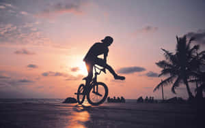 BMX車手剪影，以日落海灘為背景，有棕櫚樹和海洋