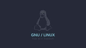 深藍色背景上的Tux企鵝標誌，帶有GNU Linux文字