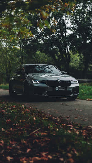 灰色BMW M5房車停泊在鋪滿落葉的林間道路上。