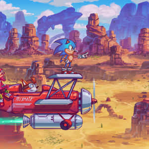 Sonic the Hedgehog 喺一架紅色飛機上面飛過一個沙漠峽谷。