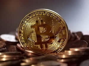 一枚金色比特幣硬幣被其他硬幣包圍。
