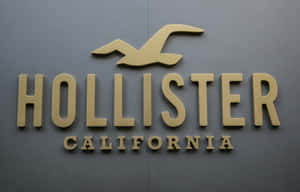 Hollister California商店標誌，灰色牆上有海鷗標誌。