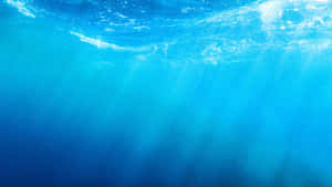 陽光穿過清澈湛藍的海水，水面泛起柔和漣漪。 — 水下 壁紙