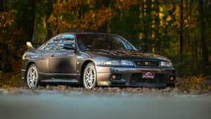 深灰色日產Skyline GT-R停泊喺秋天嘅森林道路上。 — 日產 Skyline GTR R33 壁紙