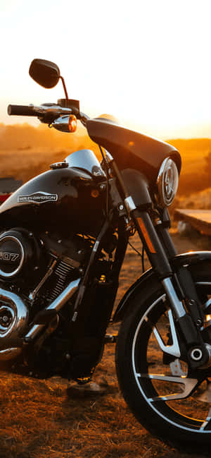 金色日落時停在草地上的黑色Harley-Davidson電單車。 — Galaxy S25 Ultra 壁紙