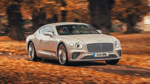 銀色賓利 Continental GT 在秋葉中行駛。