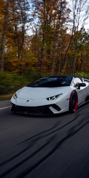白色林寶堅尼Huracán Spyder在秋季森林公路上疾馳。 — 林寶堅尼 4K 壁紙