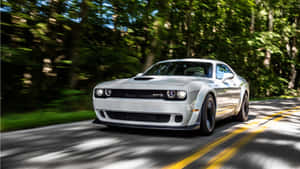 白色 Dodge Challenger RT 在晴朗的日子裡穿過森林。
