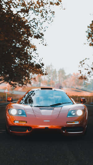 橙色McLaren F1跑車停在秋天的樹下，夕陽西下。