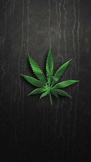 黑色皮革背景上的綠色大麻葉