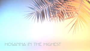 棕櫚葉框住一片粉彩天空，上面寫著 Hosanna in the Highest。 — 棕櫚樹 GIF 壁紙