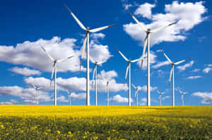 藍天白雲下的黃色田野中的風力渦輪機 — 煙火 壁紙