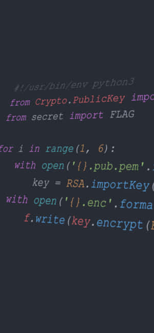在深色編輯器中以語法高亮顯示的RSA加密Python代碼。