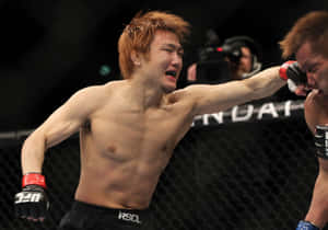 MMA拳手在比賽中於八角籠內揮拳。 — 動漫打鬥 壁紙