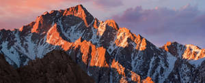 在紫色天空下，雪山山峰在夕陽下閃耀著橙色光芒。 — 城市景觀 壁紙