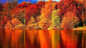 秋日森林，紅橙色樹木倒映在平靜的湖水中。 — 秋天 壁紙