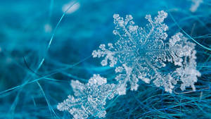 藍色纖維表面上詳細雪花的特寫