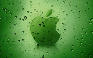 透過被雨水浸濕的玻璃看到綠色Apple標誌，帶有水珠和柔和光暈。