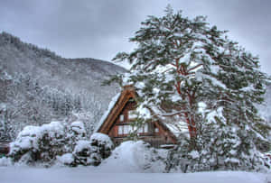 被雪掩埋的傳統日本房屋，背景有松樹和山脈。