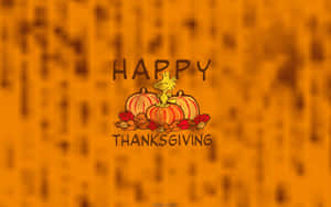 橙色背景上，南瓜和樹葉上的卡通鳥與Happy Thanksgiving文字。 — 南瓜 壁紙