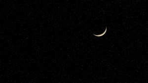 月牙在黑暗夜空中的無數星星之間閃耀。