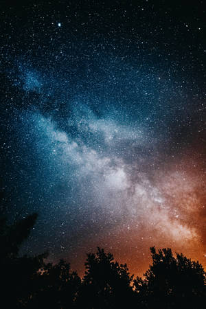 銀河系在繁星夜空下，在樹木剪影上方閃耀