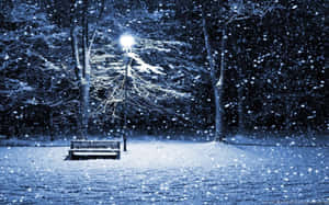 夜間，積雪覆蓋公園長椅，下方街燈閃爍。