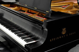 亮黑色 Steinway 三角鋼琴，琴蓋打開，展示金色內部及琴鍵。
