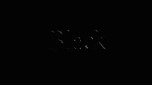 黑色背景上的白色文字「Black」。