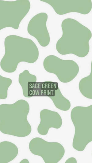 白色背景上的鼠尾草綠色乳牛印花圖案。 — 牛紋 壁紙