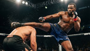 MMA拳手在籠鬥中執行高踢。