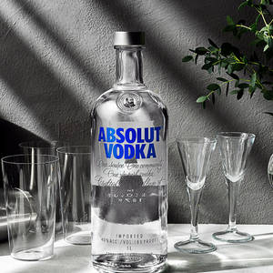 Absolut Vodka酒瓶與玻璃杯和綠色植物在帶有陰影的紋理表面上。